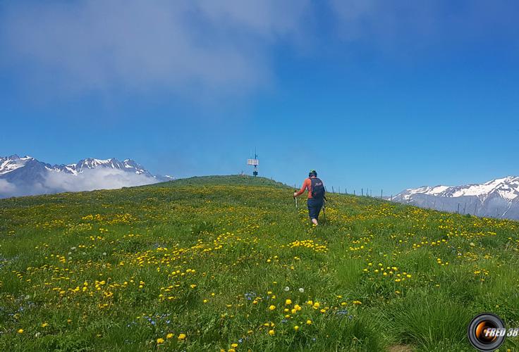 Prairie sous le sommet.