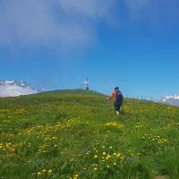 Prairie sous le sommet.