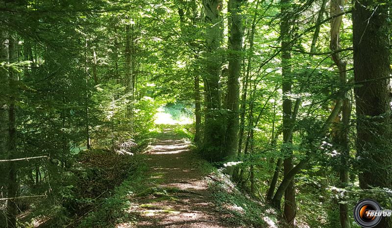 Début du parcours.