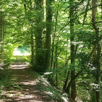 Début du parcours.