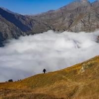 Montée en alpage.