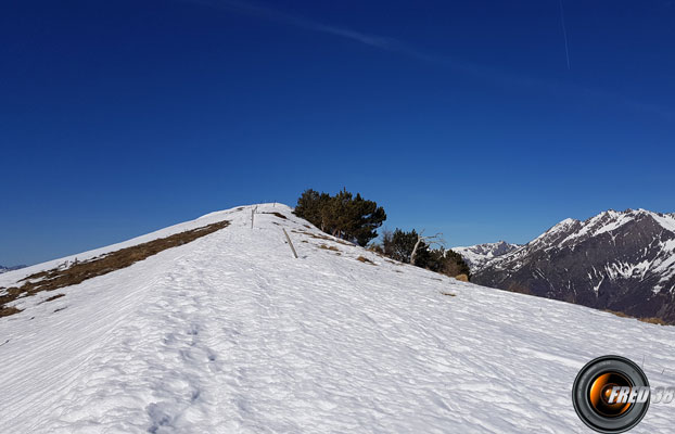 Crête sommitale.