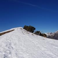 Crête sommitale.
