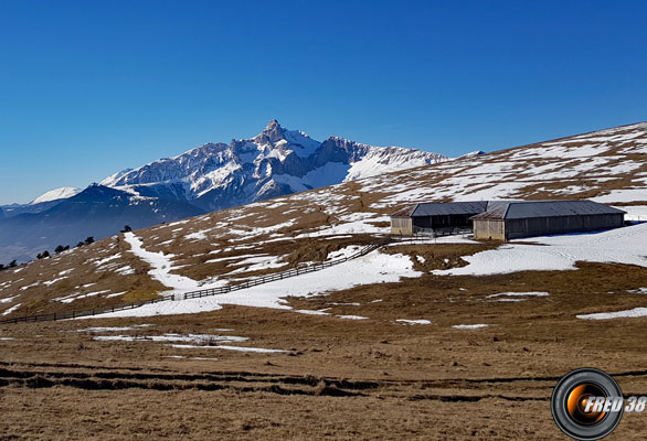 La bergerie et l'Obiou en fond.