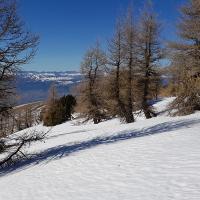 La crête et les mélèzes.