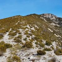 La crête vers le sommet.
