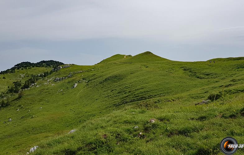 Arrivée sur la crête.