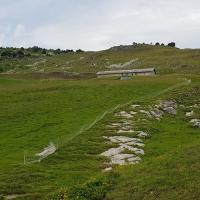 Bergerie de Curson.