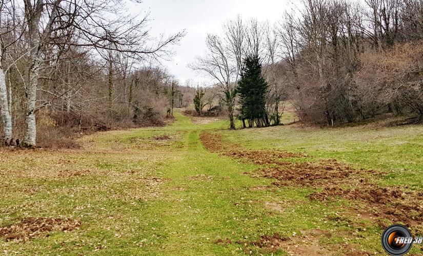 La longue prairie .