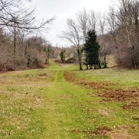 La longue prairie .