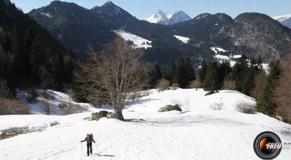 Sous le col de la Frasse