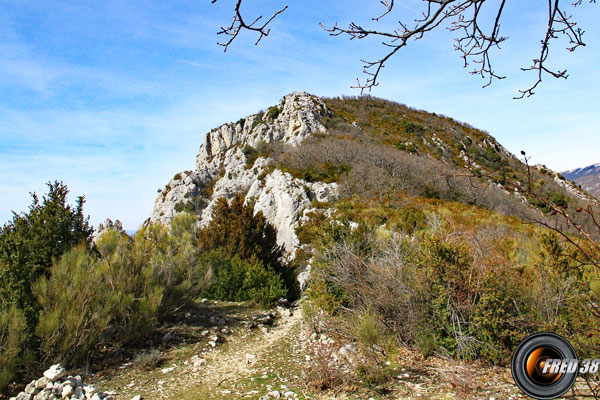 Au col de l'Ane.