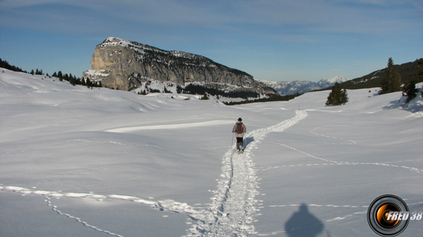 Le plateau et en fond le mont Granier.