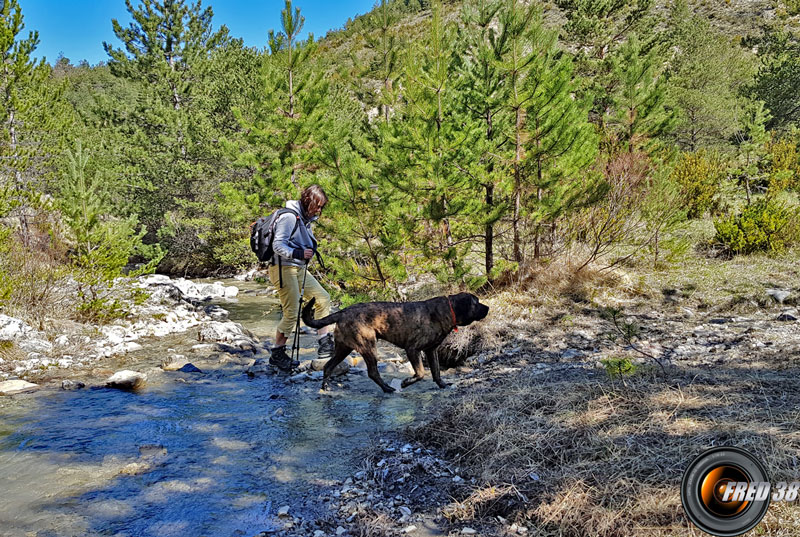 Traversée du ruisseau,