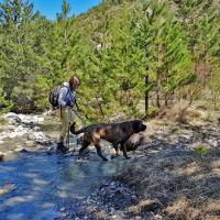 Traversée du ruisseau,