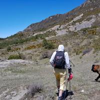Début de la piste