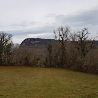 Vue sur le Grand Thur.