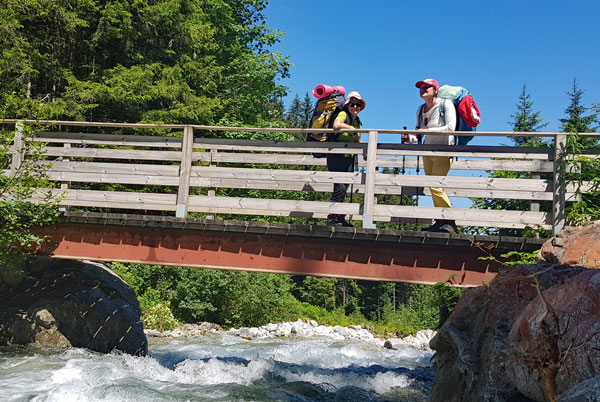 Passerelle sur le torrent du Gleyzin en montant au chalet du Bout.