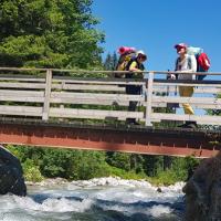 Passerelle sur le torrent du Gleyzin en montant au chalet du Bout.