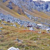 Le Cul du Nant.