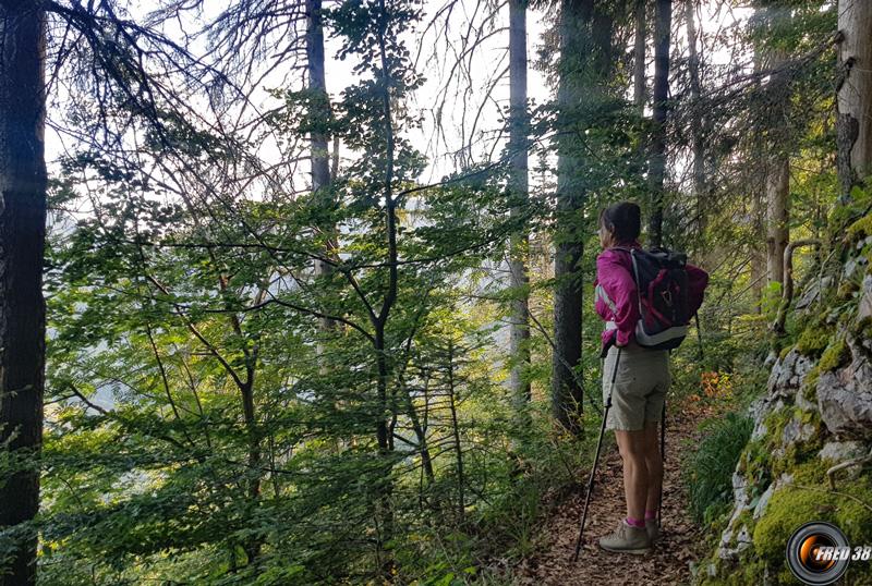 Sur le sentier.