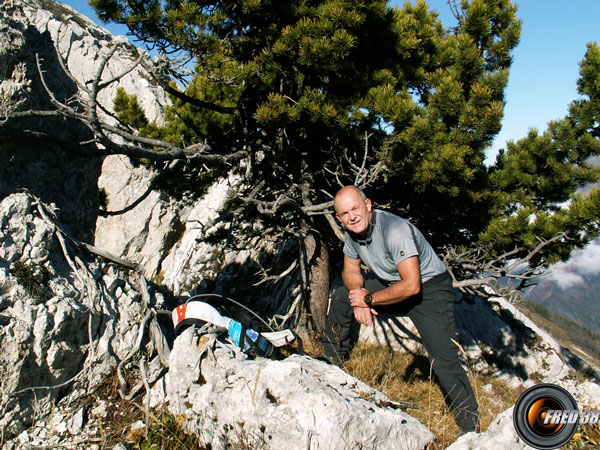 Le haut de la Combe aux Chevaux.