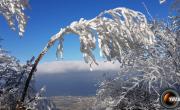 Dent de moirans photo4