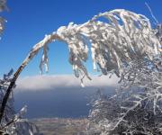 Dent de moirans photo4