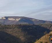 Dent de rez photo