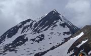 Dent du corbeau photo