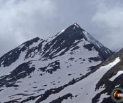 Dent du corbeau photo