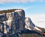 Dent du loup photo