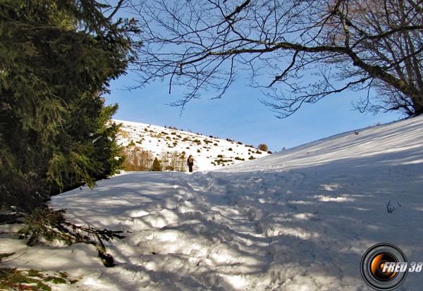 L'arrivée sur le plateau.