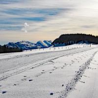 Passage sur la piste de ski nordique.