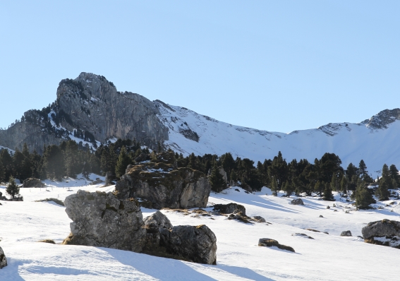 Dôme de Bellefont,