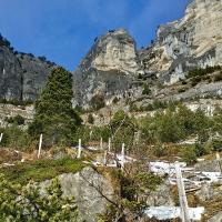 Le grand cirque,
