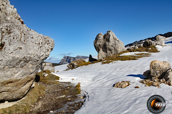 Près du Chalet de l'Aulp.