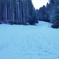 Sur la pîste de ski.