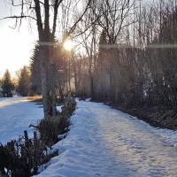 Chemin de retour.