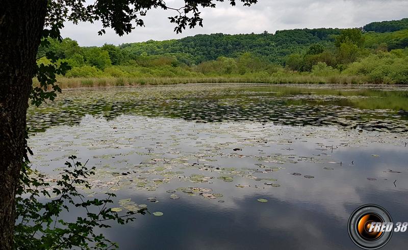 Etang de Chaligneu