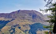 Gardiole de l alp photo