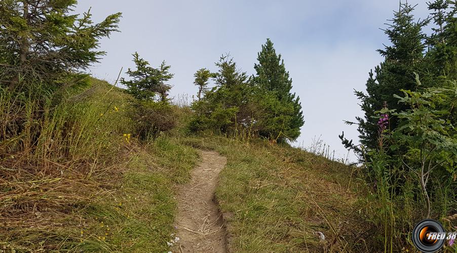 Au col de l'Eterpat.