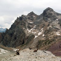Le massif est fréquenté par de nombreux bouquetins