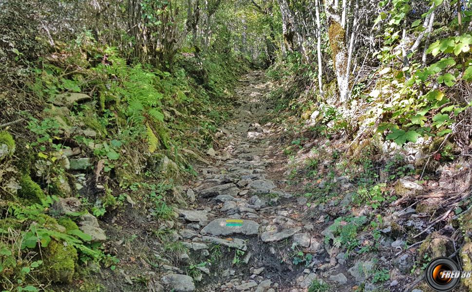 Sentier au début.