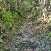 Sentier au début.