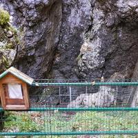 L'entrée de la glacière.