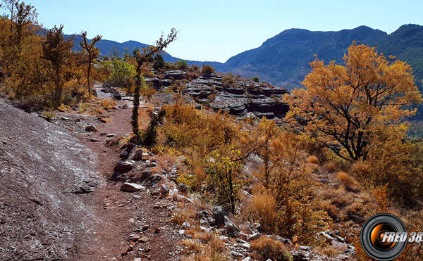 Une partie du sentier de découvert