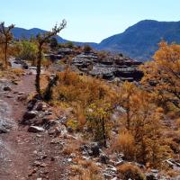 Une partie du sentier de découvert