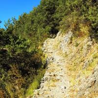 Le sentier montant à Villeplane