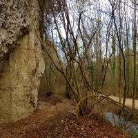 Le sentier 